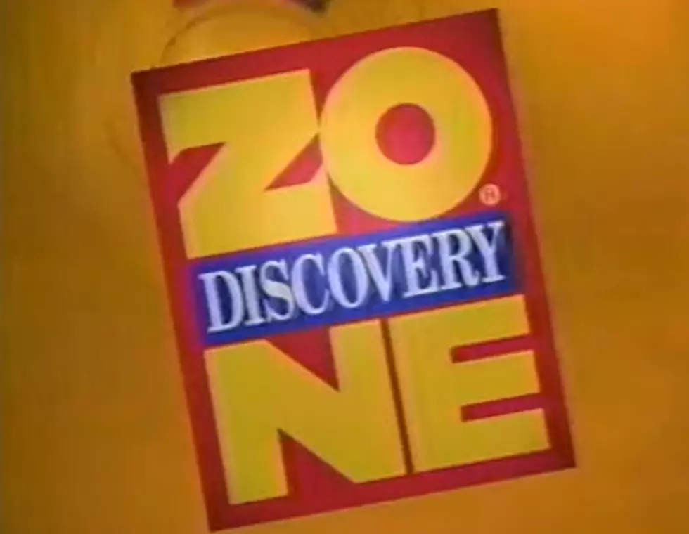 What Ever Happened to the DZ Discovery Zone in Kalamazoo?