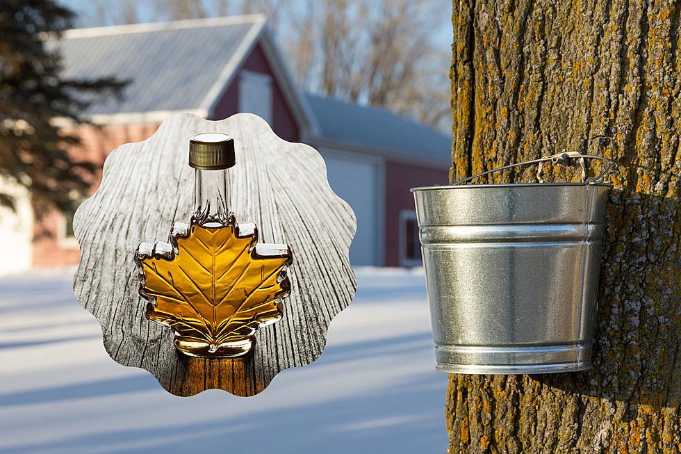 When Does Maple Syrup Season Start in Michigan?