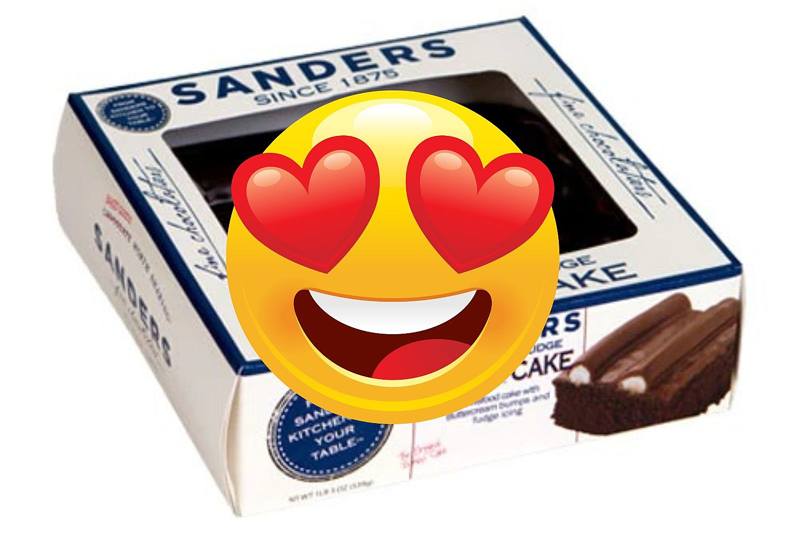 Mini Chocolate Fudge Bumpy Cake 4 Pack – Sanders Candy