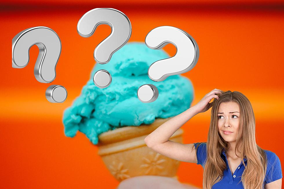 A Favorite Among Michiganders, What Flavor is Blue Moon Ice Cream Anyway?