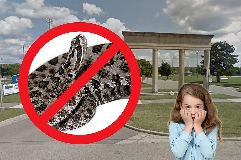 Wait, Are There REALLY Venomous Snakes in Battle Creek&#8217;s Bailey Park?