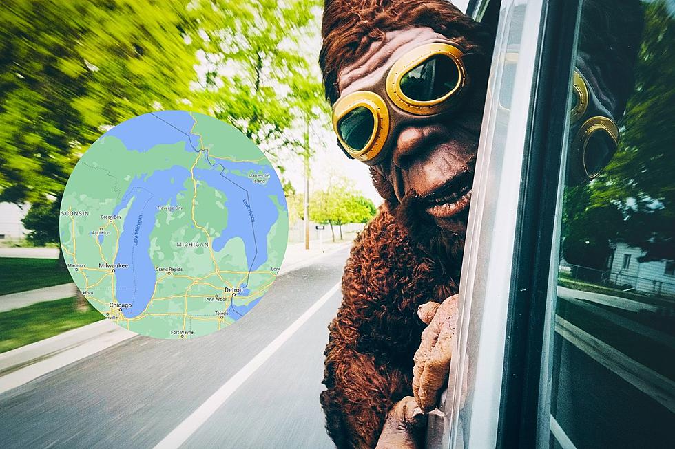 Michigan in the Top 10 States With the Most Bigfoot Sightings