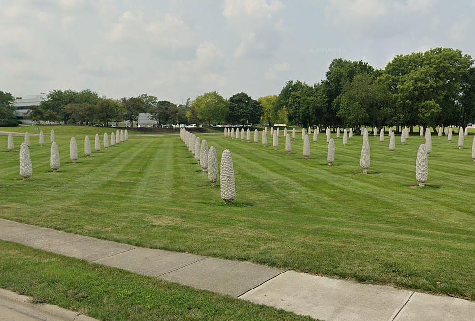 Have You Seen the Field of "People-Sized" Corn Statues in Ohio?