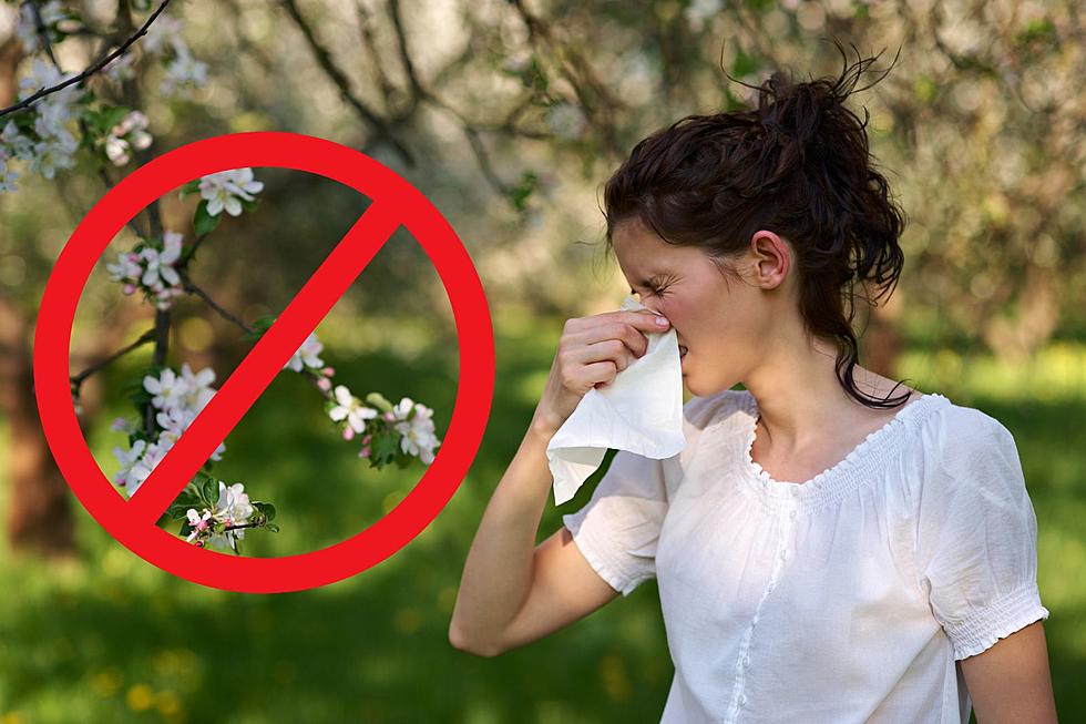 When Can We Expect Allergy Season To End Here In West Michigan?