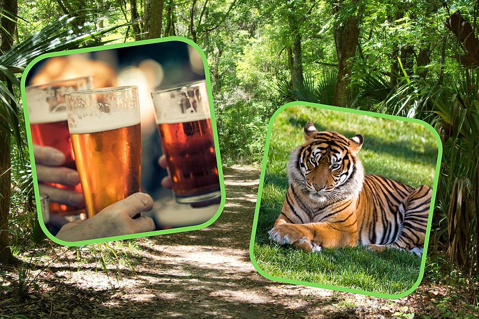 Get Wild At These 3 Michigan Zoos That Serve Adult Beverages