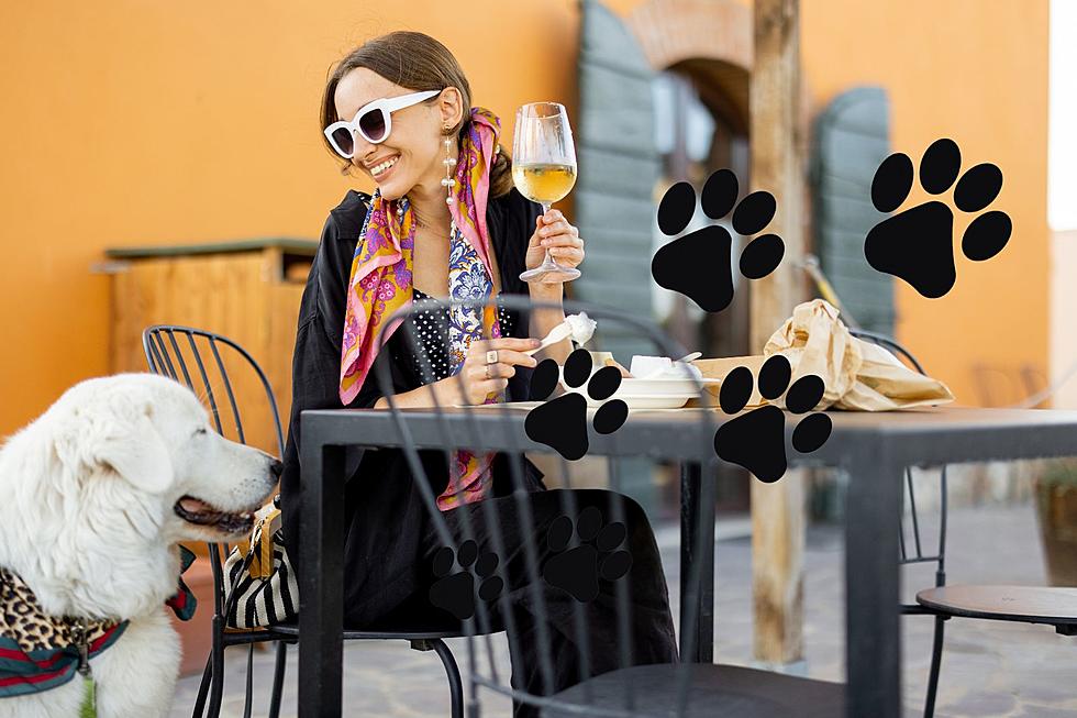 Here Are At Least 5 Dog-Friendly Patios Across West Michigan