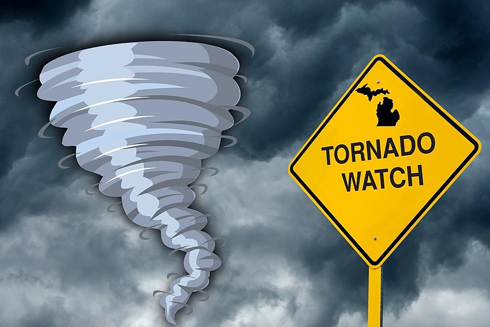 How Many Tornadoes Have Touched Down in Michigan in 2023?