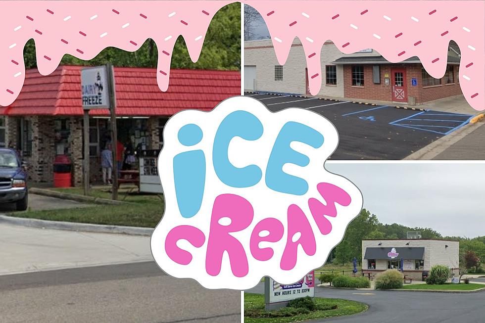6 Ice Cream Stands to Visit in SW Michigan Before the Season Ends