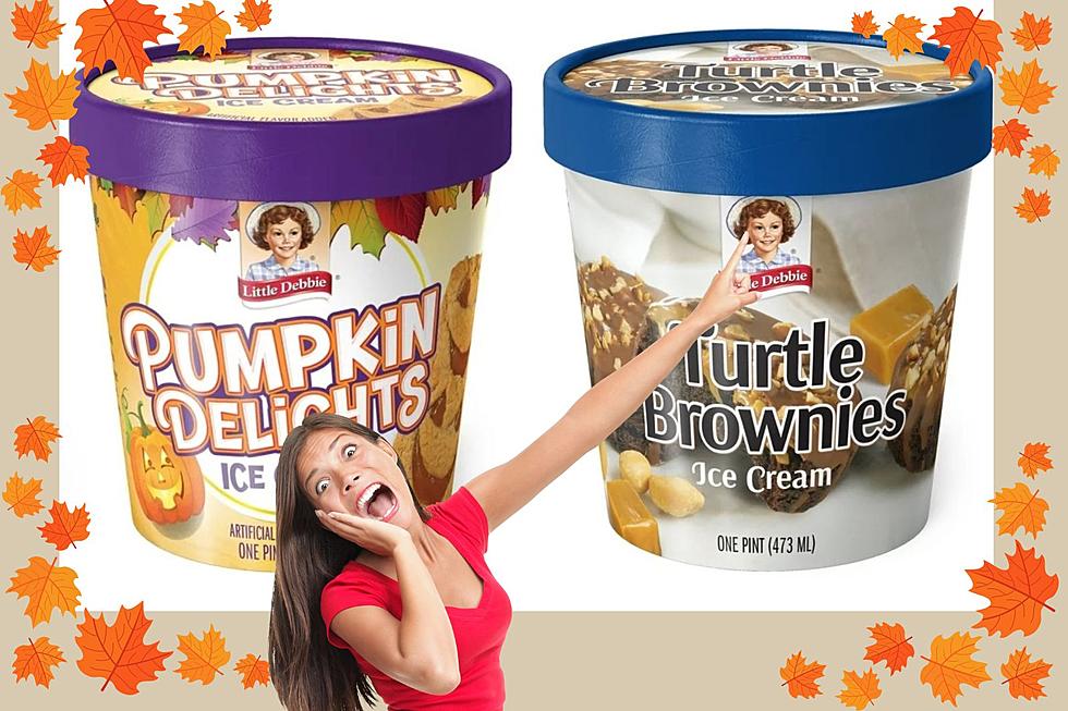Hudsonville Ice Cream & Little Debbie Collab on New Fall Flavors