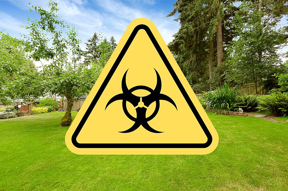 Back Yard Bacterial Outbreak Devastates Michigan; OH & IL Too