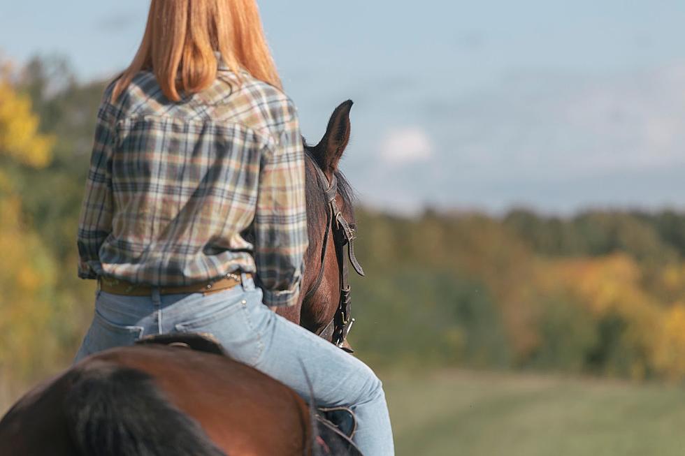 Horseback Riding at This Michigan State Park is Only $10