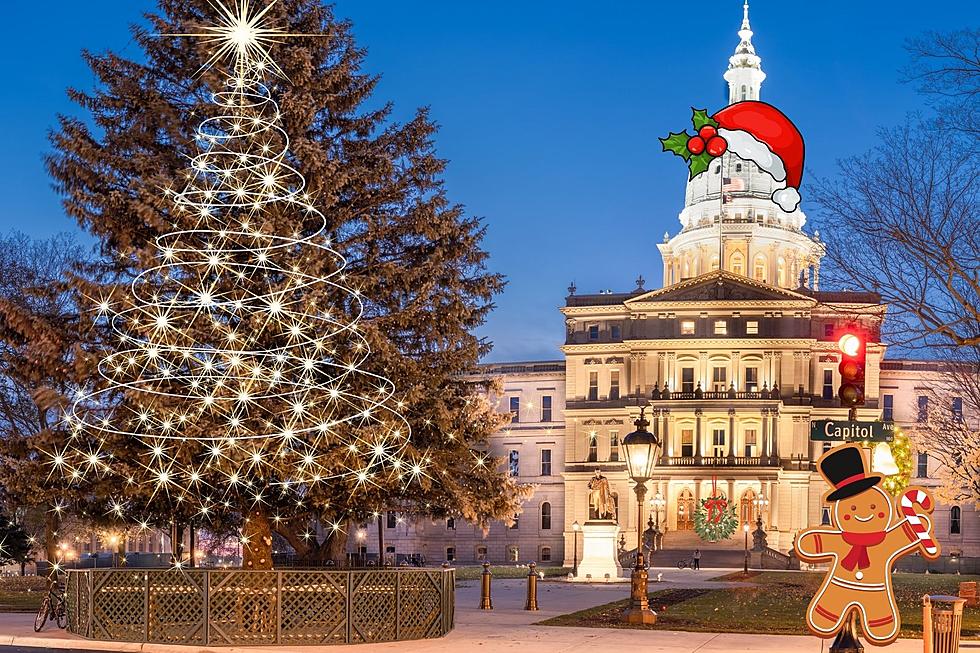 State of Michigan's 2023 Christmas Tree Is Also Touching Tribute 