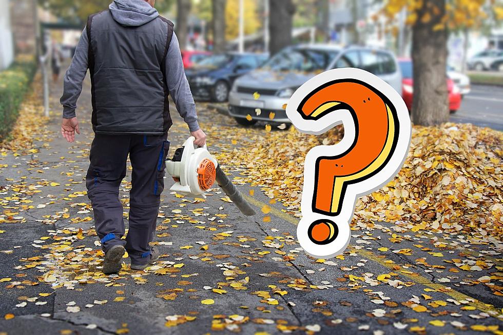 Is It Legal to Rake Leaves & Yard Waste Into Kalamazoo Streets?