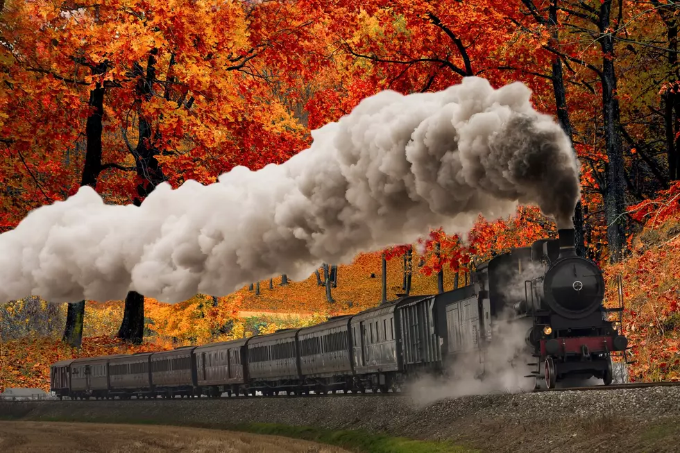 Enjoy the Michigan Fall Colors This Year with a Scenic Train Tour