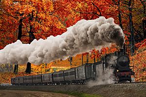 Enjoy the Michigan Fall Colors This Year with a Scenic Train...