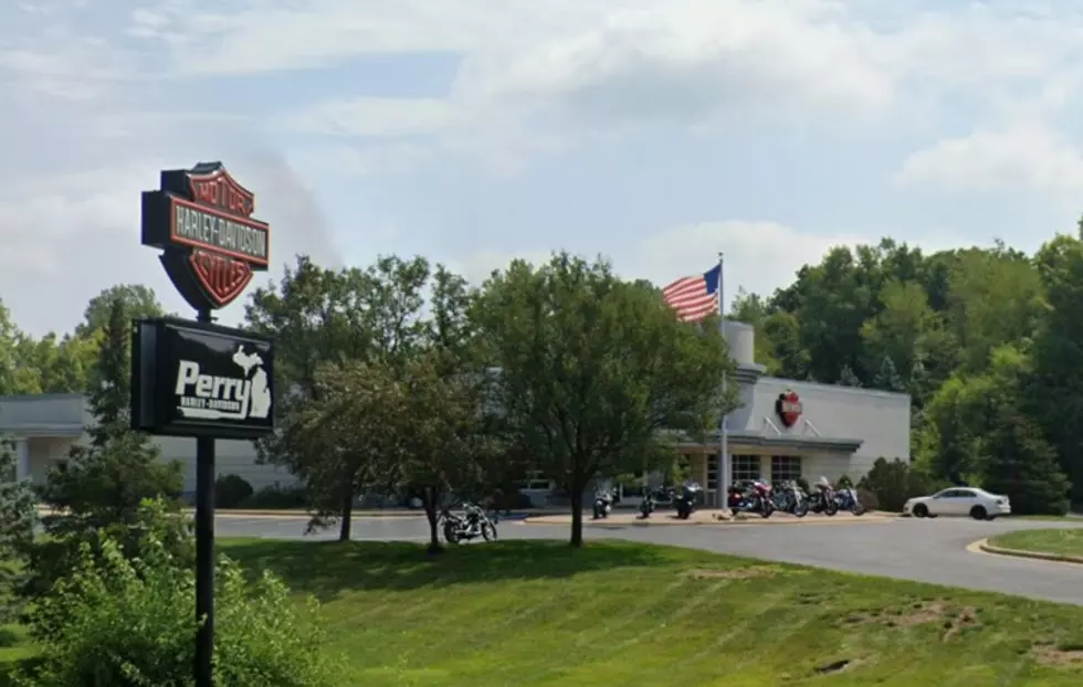 Perry HD Portage