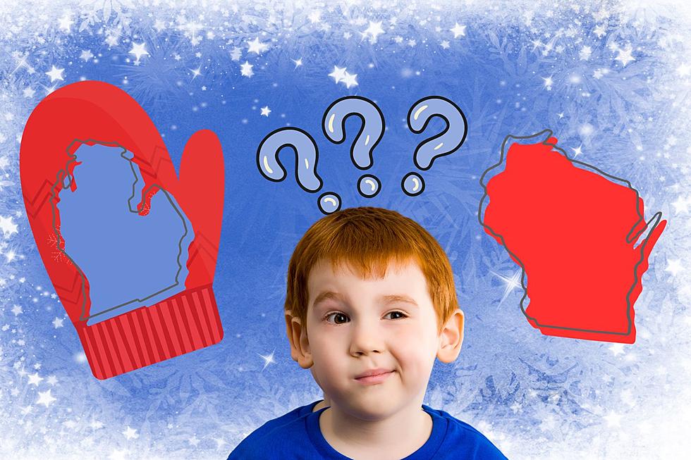 Which State Is More Shaped Like a Mitten, Michigan or Wisconsin?