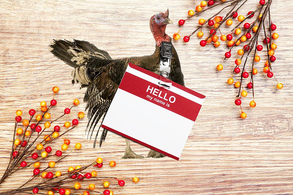 Help! This Thanksgiving Turkey In Michigan Needs a New Name