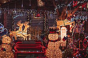 Explore Christmas Magic with these Walk Through Holiday Lights...