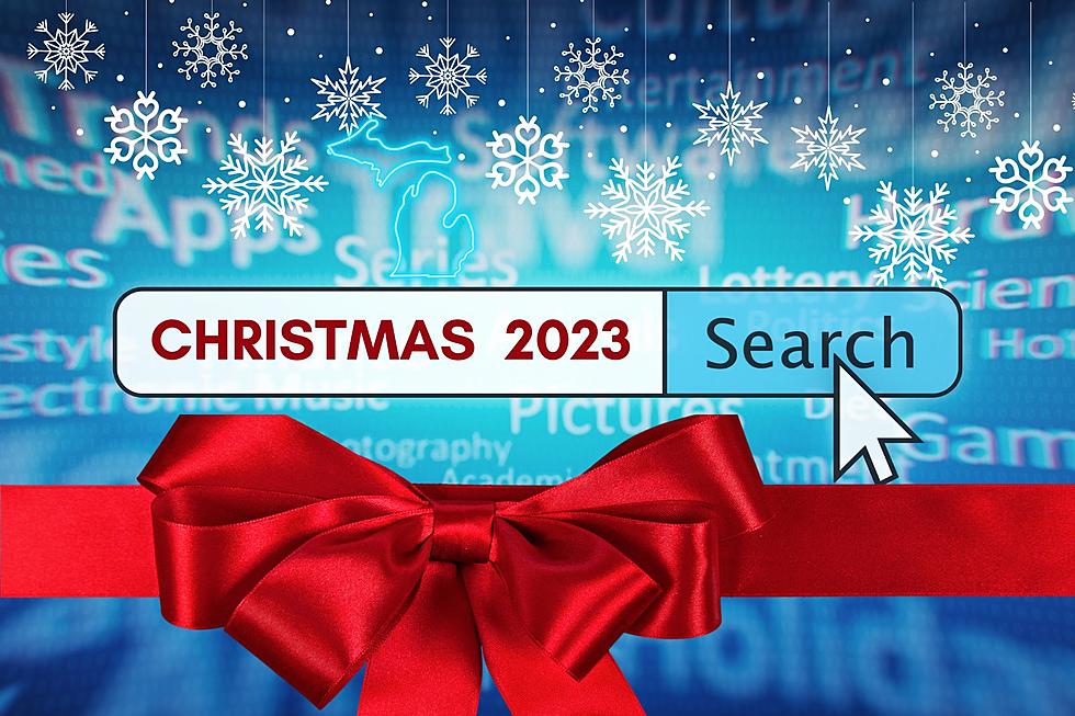 What’s Michigan’s Most Googled Christmas Search?
