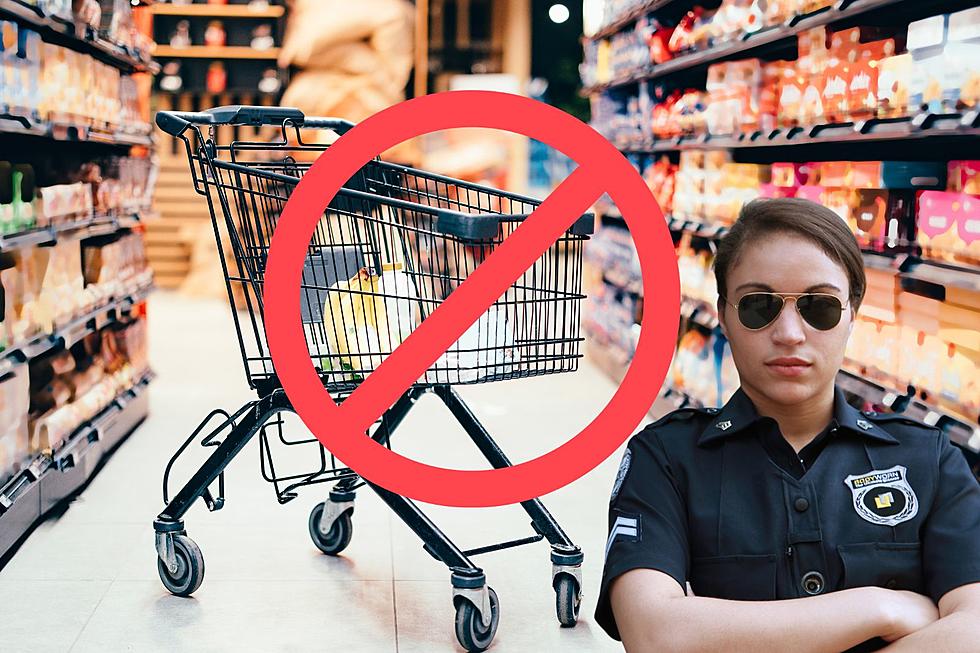 Is There a Penalty For Stealing A Shopping Cart In Michigan?