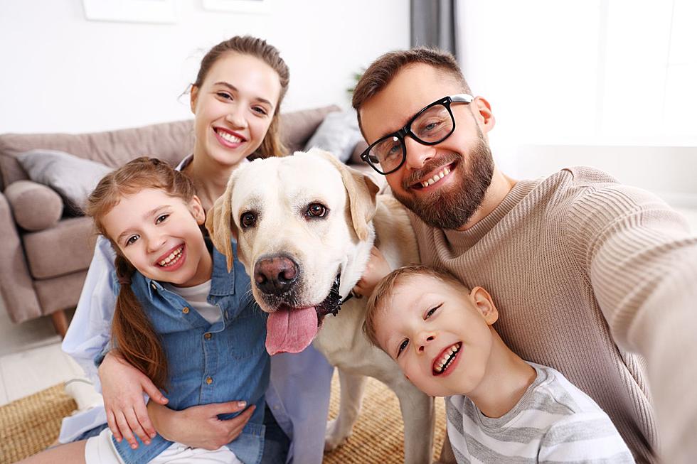 Is Your Dog a Legal Family Member in Michigan?
