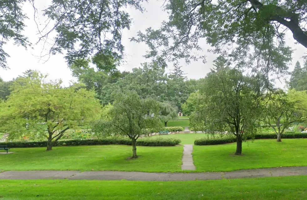 Kindleberger Park Parchment