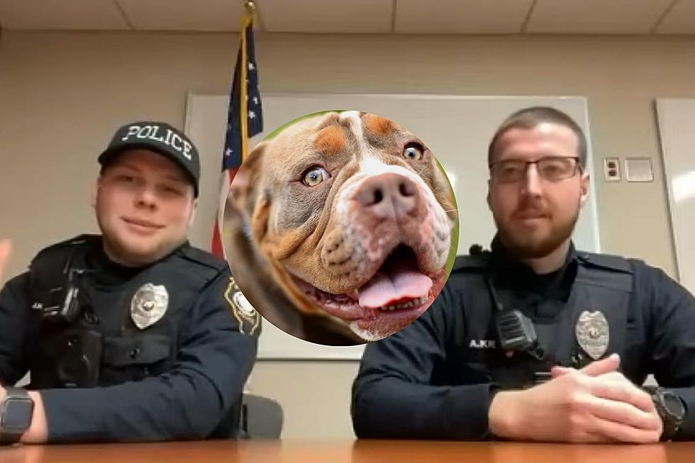Illinois Police Officers Bring Dog Back to Life With CPR