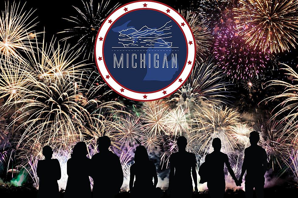 New Year Could Bring 7 New Holidays to Celebrate in Michigan