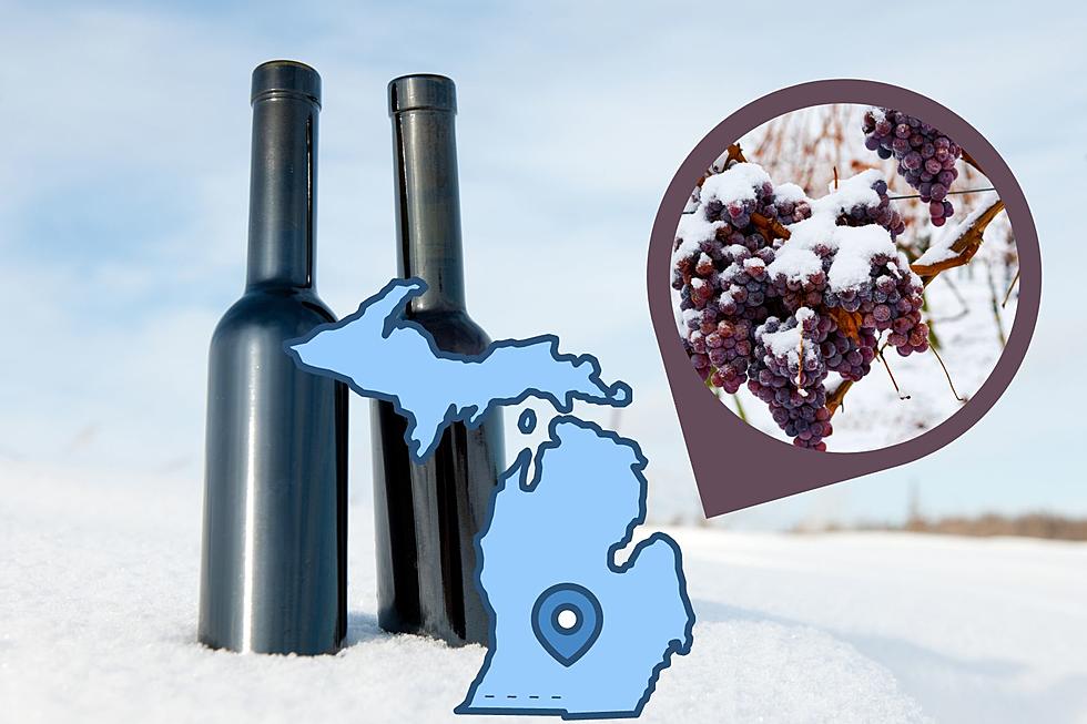 Michigan Winters Provide Perfect Conditions For 'Ice Wine'