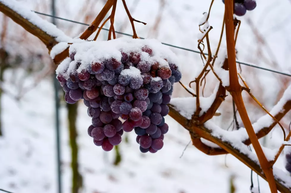 ice wine michigan