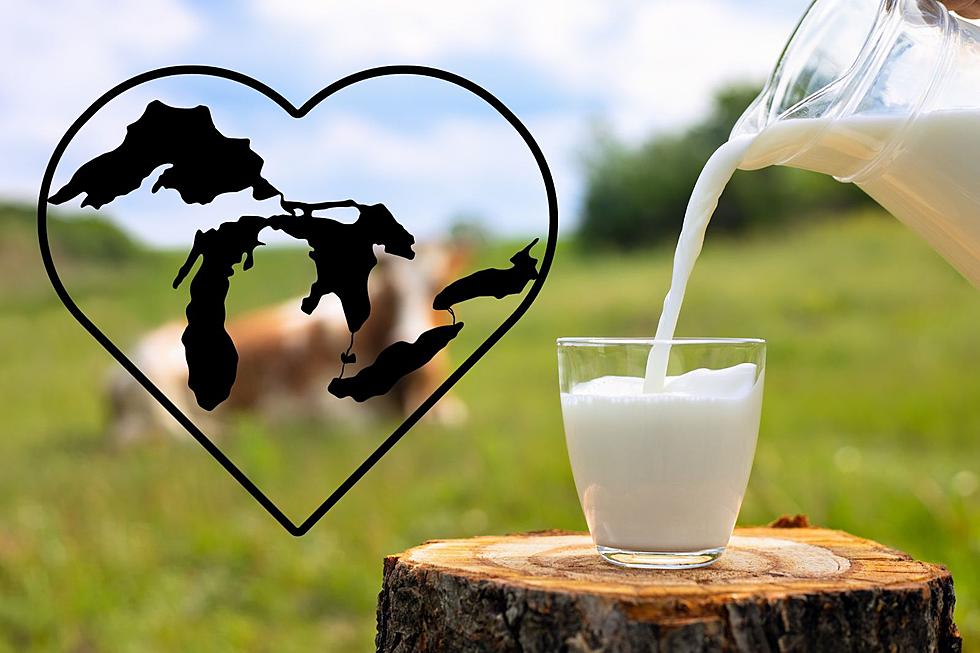 Here&#8217;s How To Tell If You Milk Came From Michigan