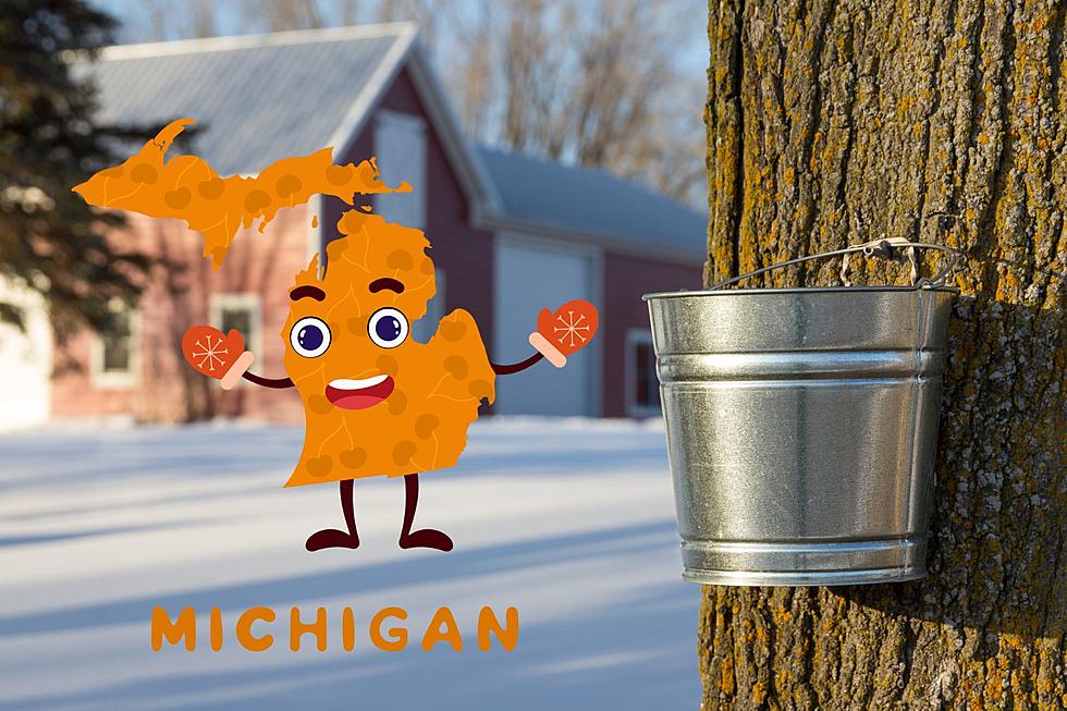 When Does Maple Syrup Season Start in Michigan?