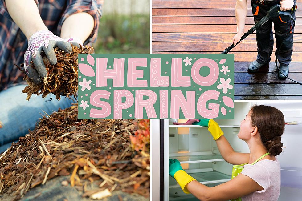 8 Tips For Michiganders To Prepare Your Yard And Home For Spring