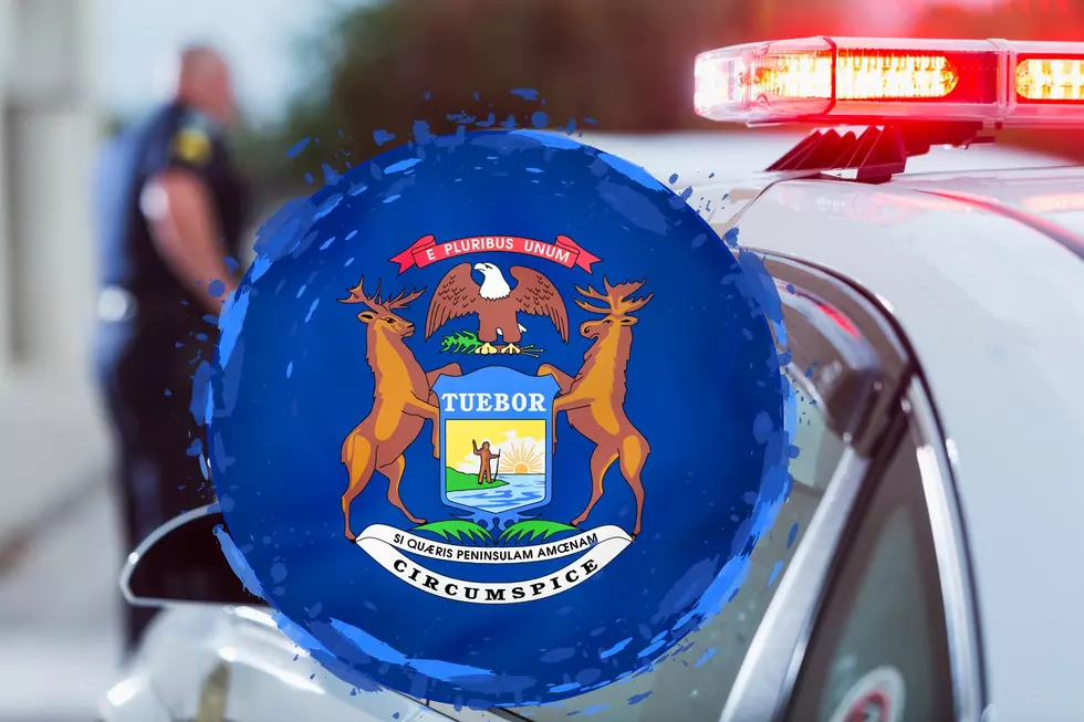 5 Weird Ways Your License Plate May Get You Ticketed in Michigan
