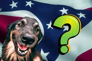 What is the Official State Dog of Ohio?