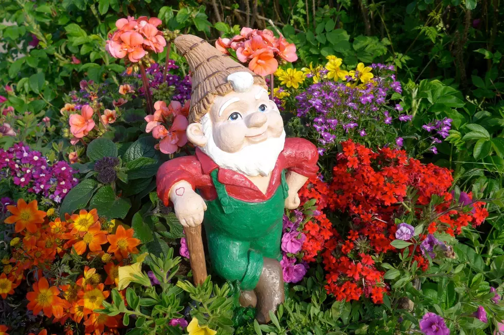Yard ornaments like garden gnomes could be a sign of a swinger