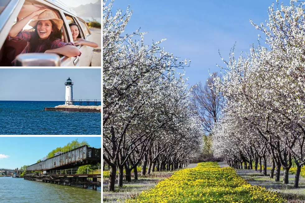 This Michigan Lake Shore Among the Most Scenic Drives in America