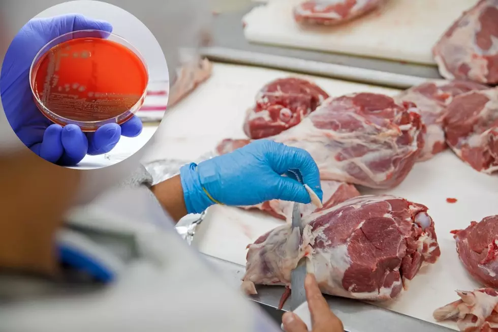 E. coli in ground beef