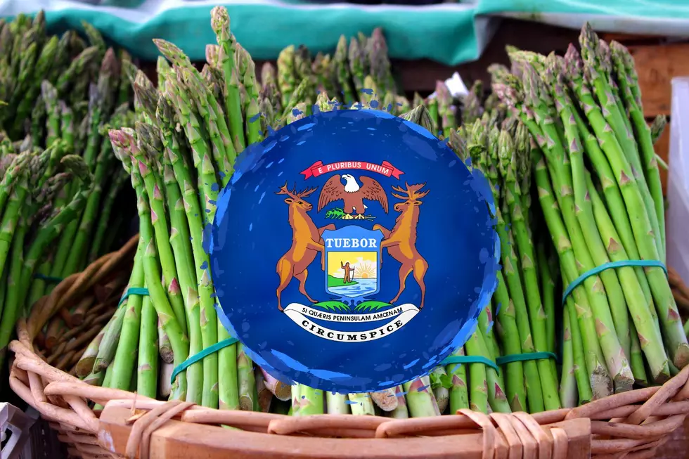 Where In Michigan Is The 'Asparagus Capital Of The World'?