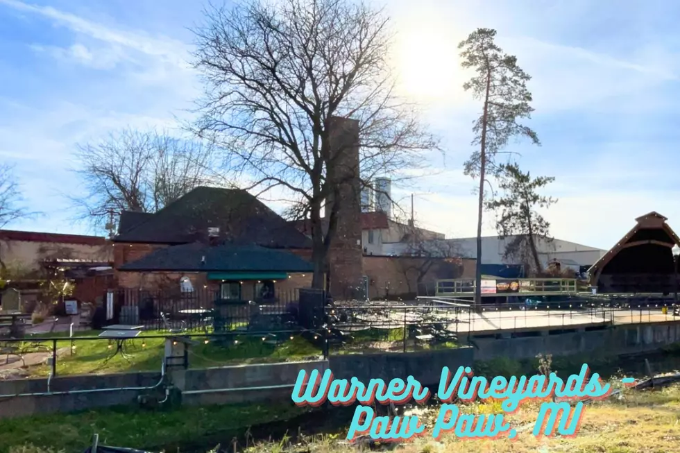 Warner Vineyards - Paw Paw, MI