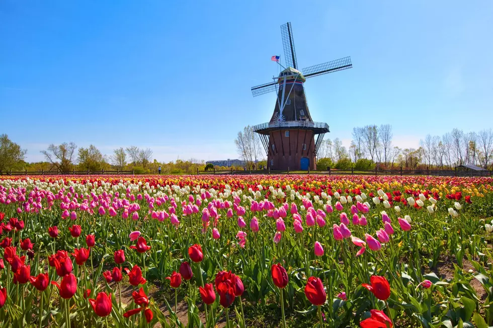 Holland, Michigan