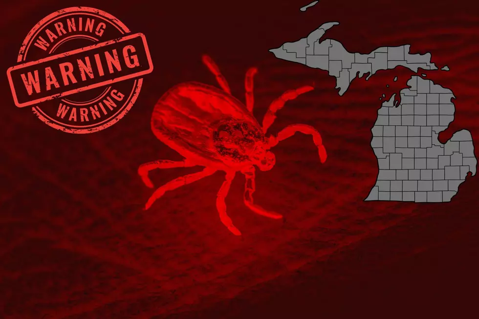 ALERT: Tiny Insect Invading Michigan Spreading Dangerous Disease