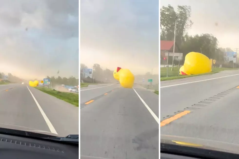 Inflatable Duck Goes Viral After Surviving Michigan Storm