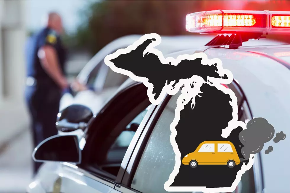 The Color Of Your Car Could Get You Pulled Over More In Michigan
