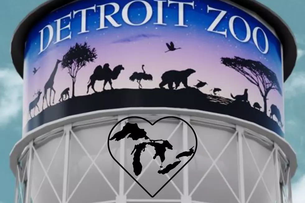 Detroit Zoo Has A New Water Tower-Own A Piece Of Former Tower Art