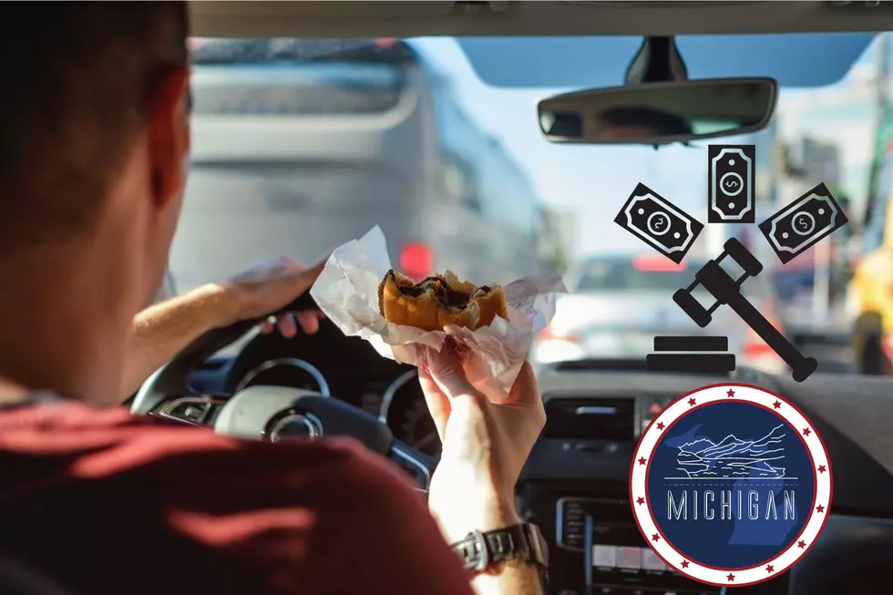 Is It Illegal To Eat Food While Driving In Michigan?