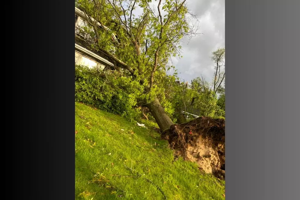 Tornado Damage, South side of Portage