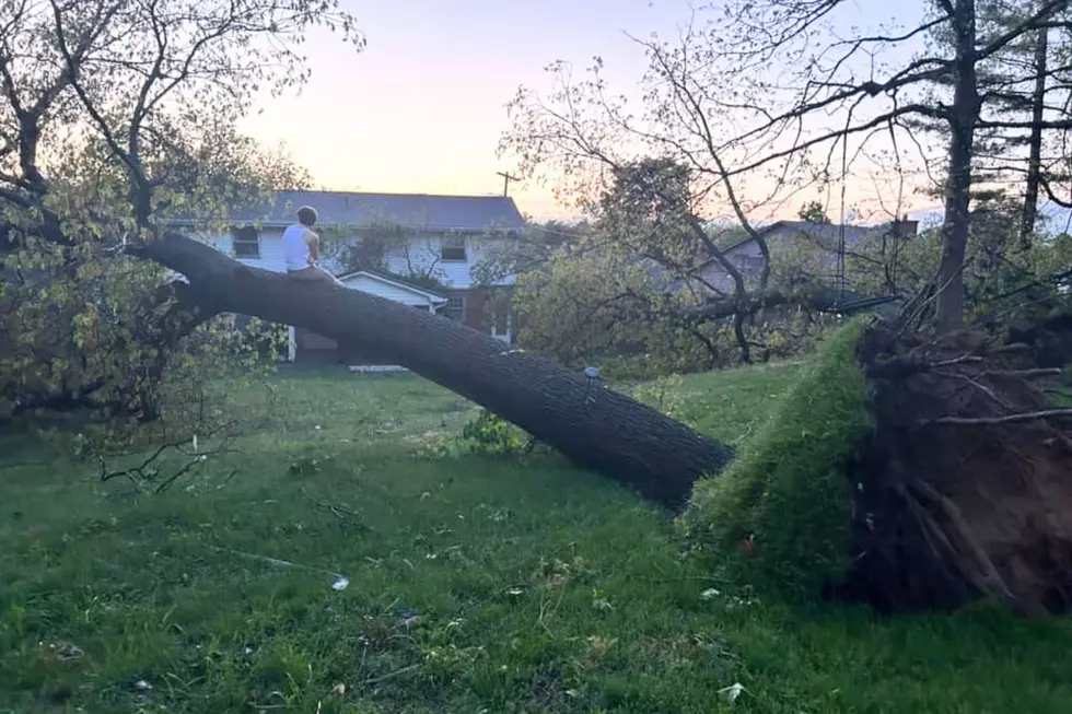 Tornado damage, South side of Portage
