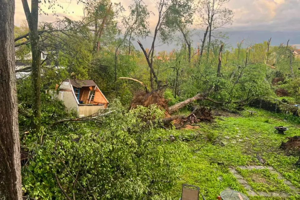 Hampton Oaks, Portage, Tornado, Michigan